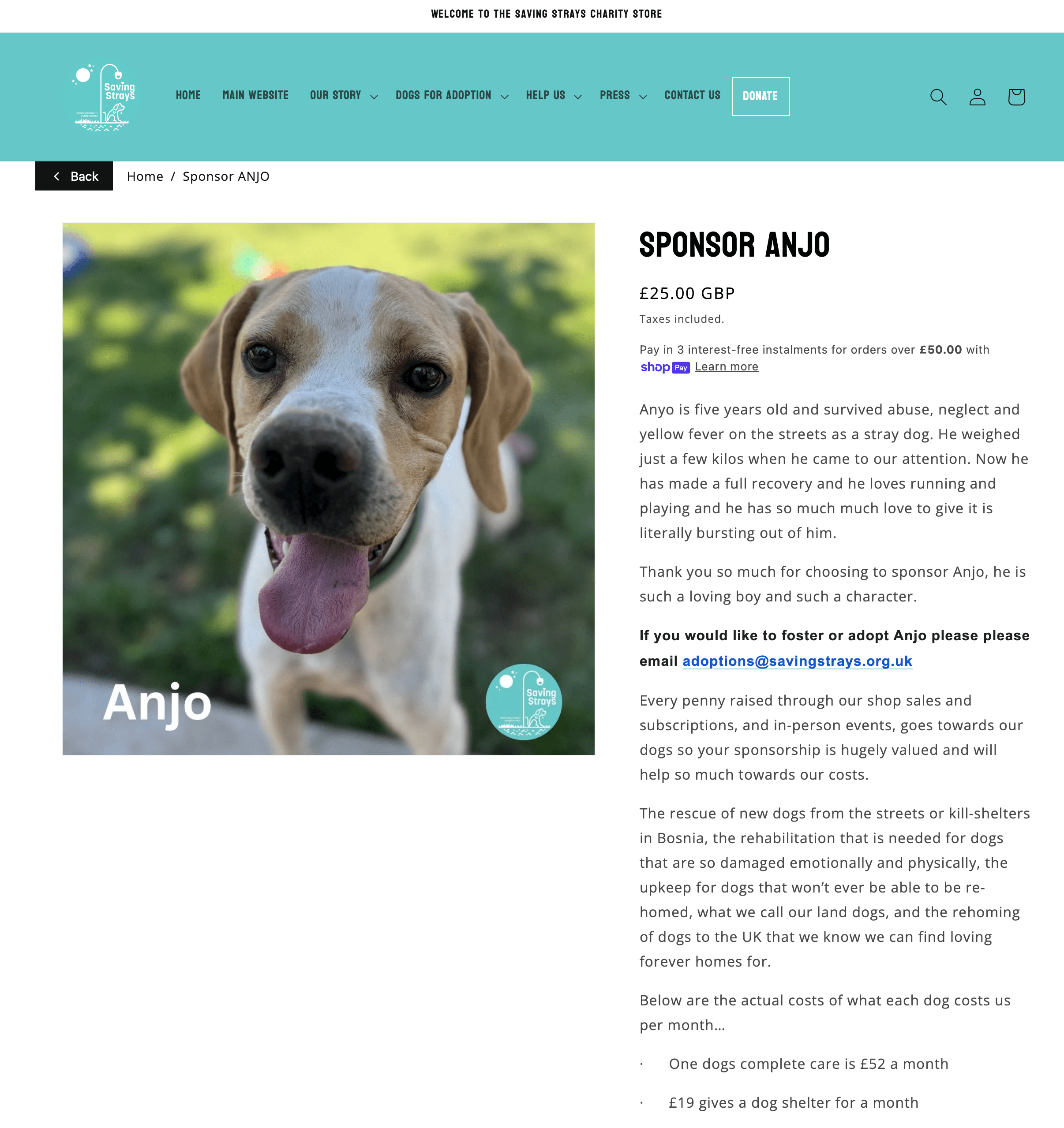 Sponsor a dog subscription layout